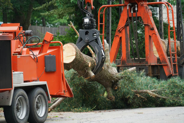 Grass Overseeding in Boston Heights, OH